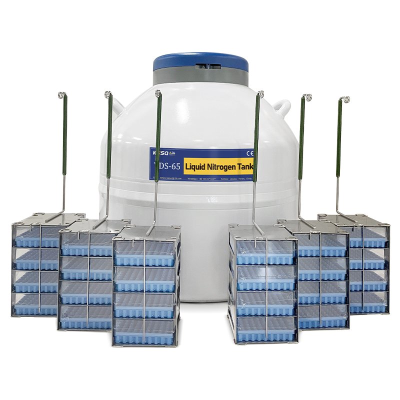 95L Cryogenic Caliber 216mm Liquid Nitrogen Storage Tank Price with Accessories for Liquid Nitrogen Quick Freezer
