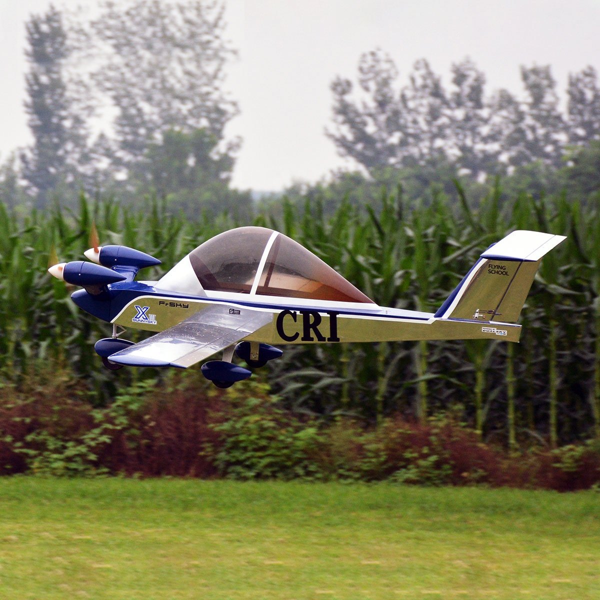 Cri-Cri 70 Cricket Adult RC Toys With Wood Remote Control Model Aircraft