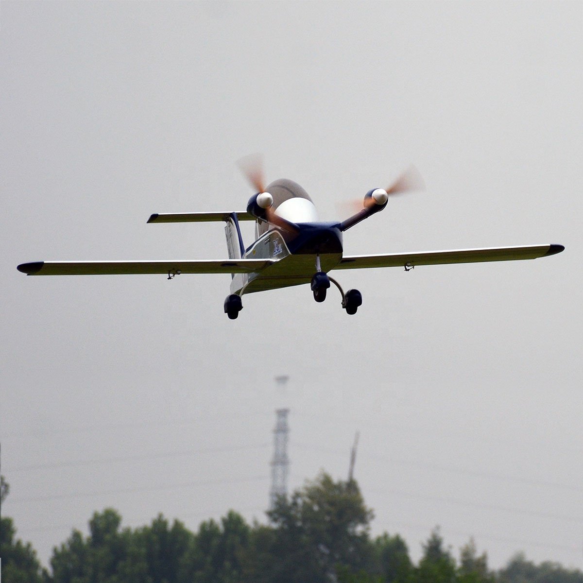 Cri-Cri 70 Cricket Adult RC Toys With Wood Remote Control Model Aircraft