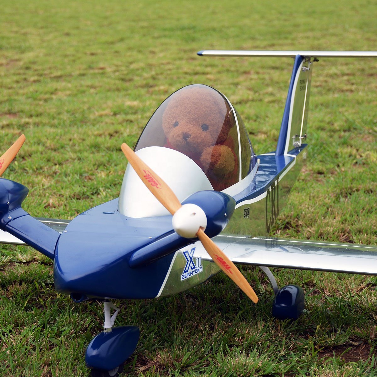 Cri-Cri 70 Cricket Adult RC Toys With Wood Remote Control Model Aircraft
