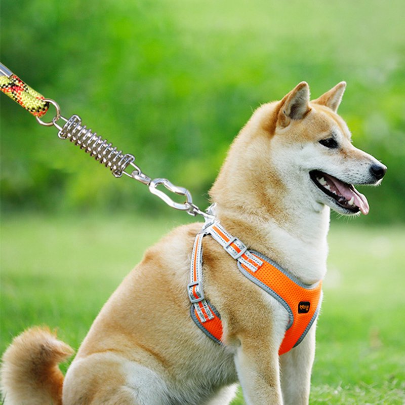 JRSGS Light Weight Accessory Aluminum Swivel Carabiner Multi-functional Tool 16-25mm Ring 3kN Swivel Hook for Dog Leash
