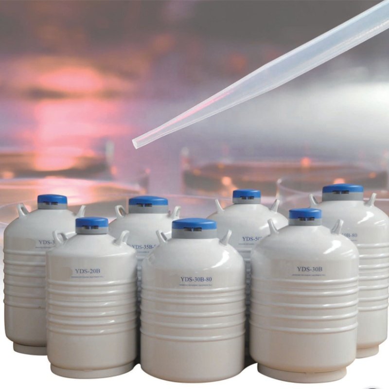 Liquid Nitrogen Dry Shipper YDH-3 for Air Shipping for Semen Storage