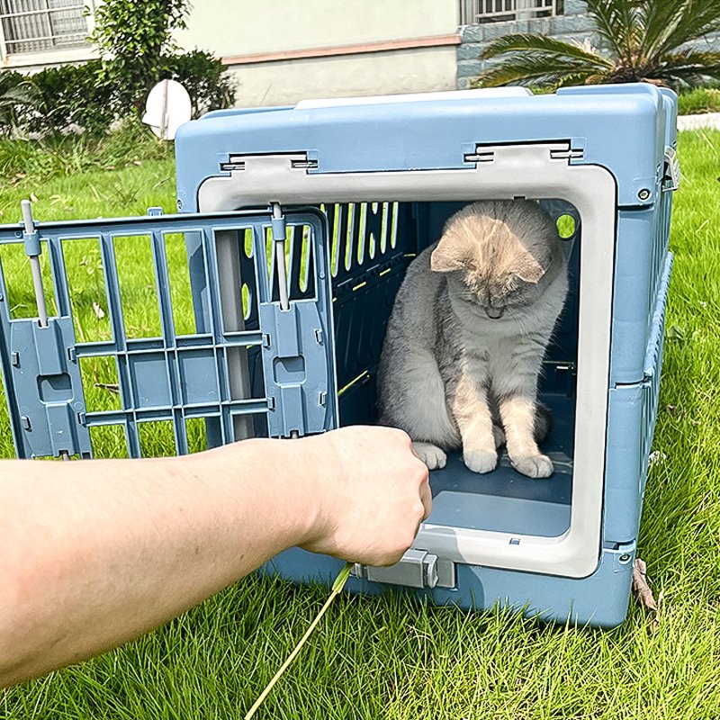 Wholesale Portable Foldable Cat Dog Cage Solid Plastic Sustainable Design Small Outdoor Breathable Space Capsule Pet Aviation