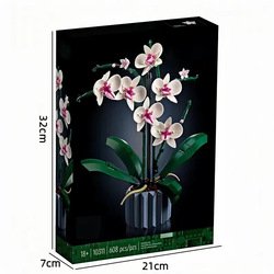 orchid