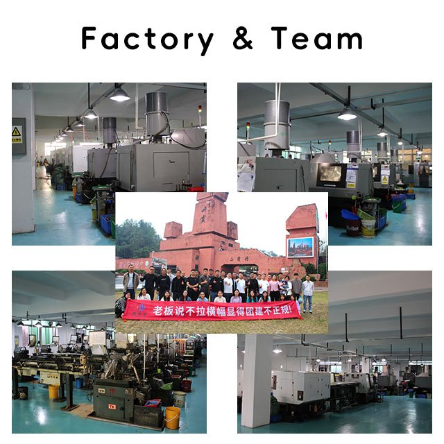 Factory Customized Tight Tolerance CNC Manufacturing Iron Steel Stainless Steels Small Module Spur Gear