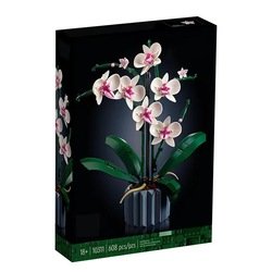 Orchid