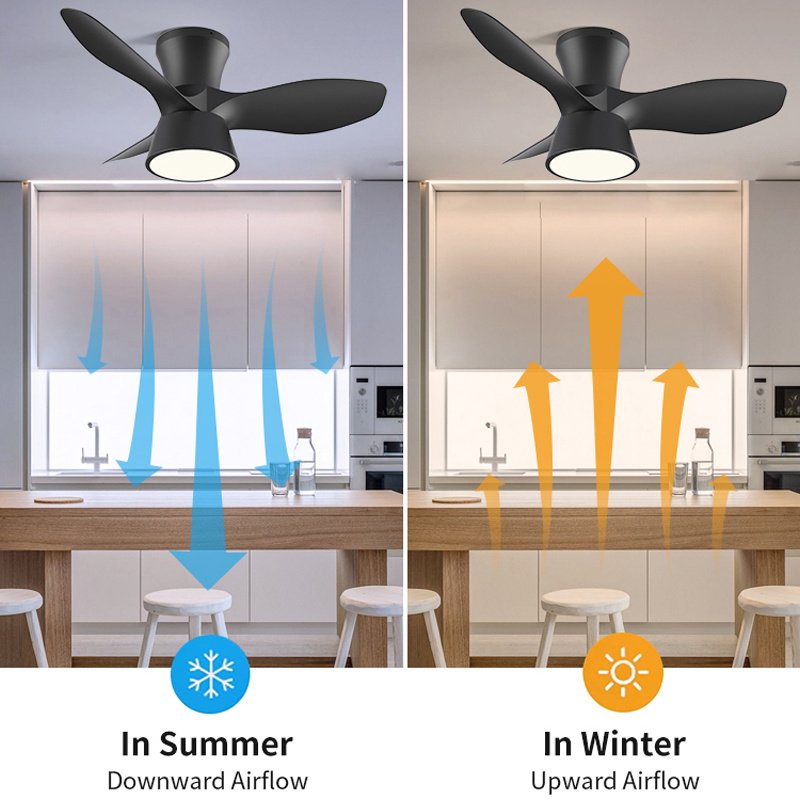 Factory Summer Wind 32 Inch 3pcs Abs Blade Copper Motor Dc Black Aviation Ceiling Fan