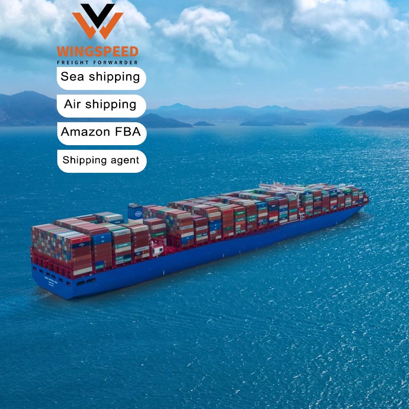 Air/Sea Cargo Shipping From China To Usa Canada Australia By China Top 3 Freight Forwarder---Wingspeed