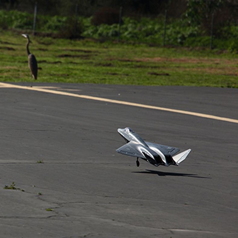 Electric Powered Epp Durable Ready To Fly Gyro Rc Airplane Servo