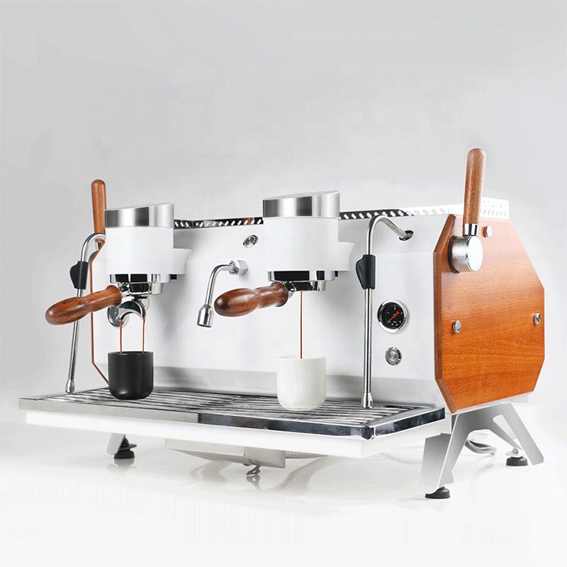 Nibu PID Control Stainless Steel Double Head Espresso Coffee Machine Italian Coffee Maker for Cafe