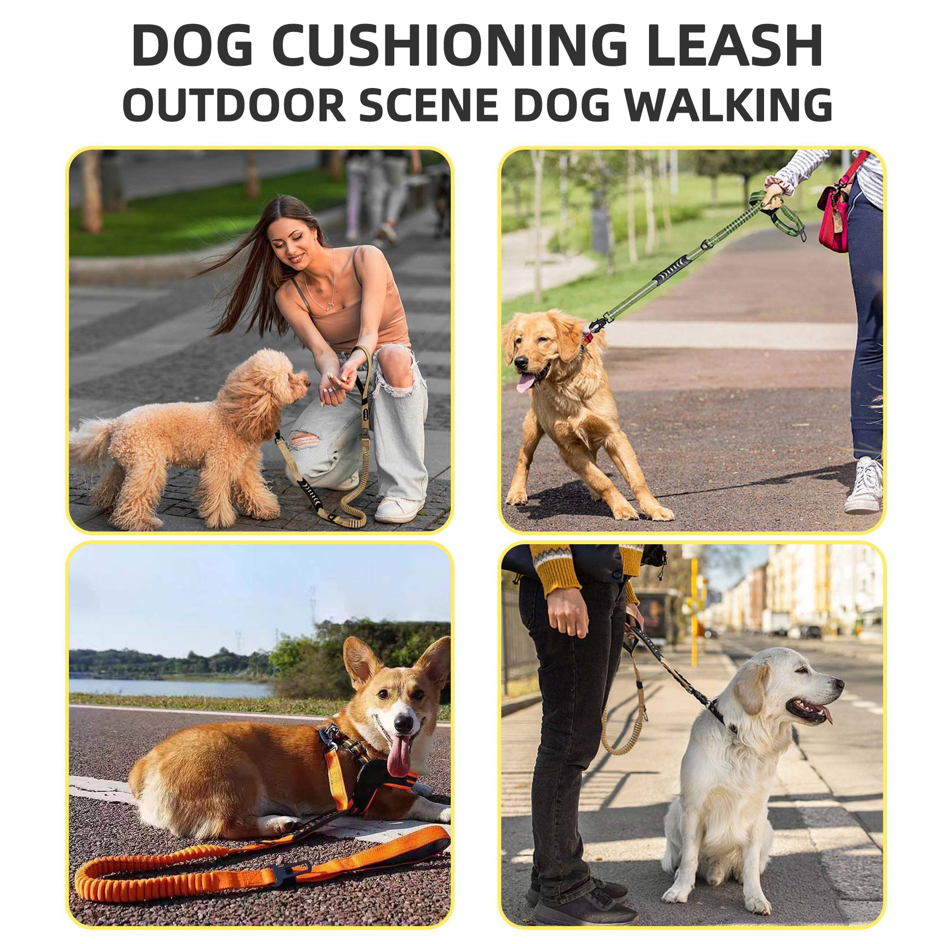 Customized Luxury Pet Dog Leash Personalized Aviation Aluminum Accessories Solid Frog Buckle Nylon Reflective Dog Chain