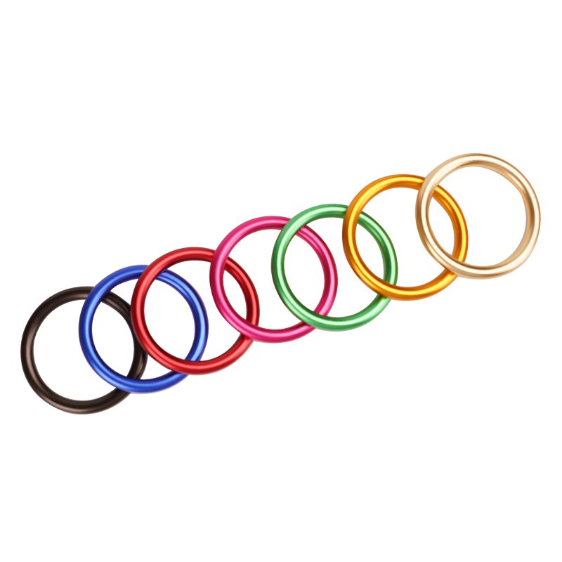 Customization O Ring 10-25mm O-Ring Metal Custom Alloy Buckles Accessories Metal Ring for Pet
