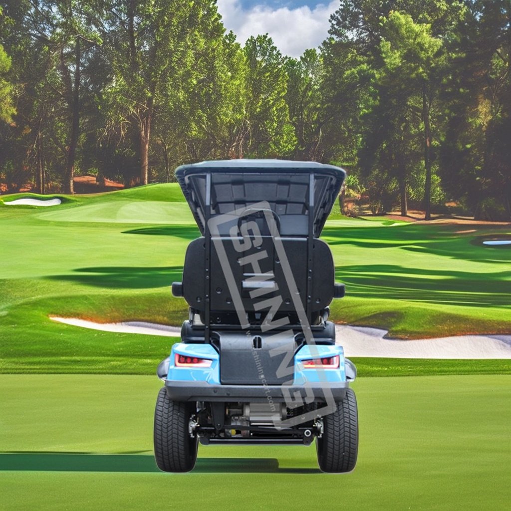 Shining Brand 4 seater golf cart street legal 4x4 atvs for adult electric utvs