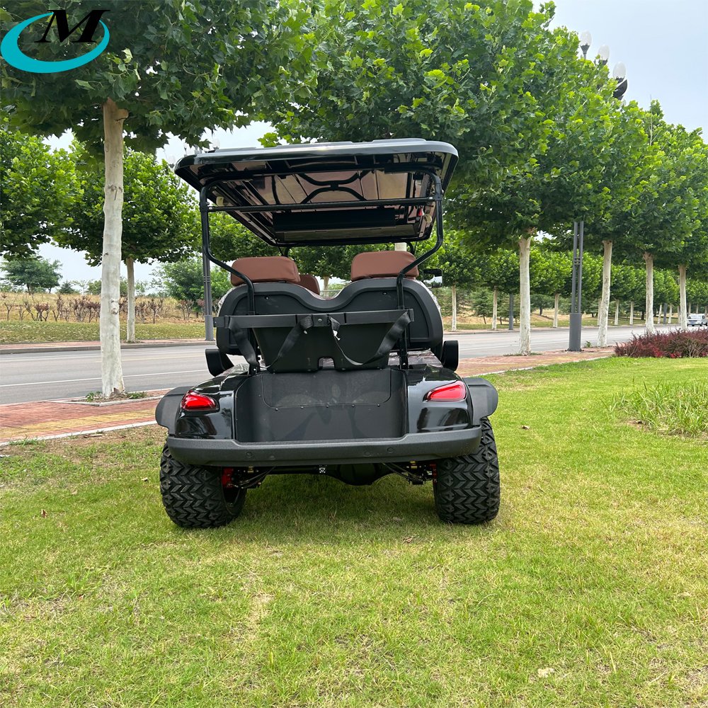 Cheap Gas Powered 4 Wheel Family Golf Cart Electric 4x4 Utility Lithium Evolution Off Road Club Car Golf Cart