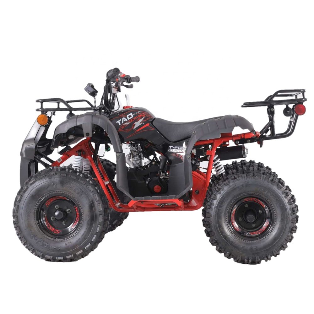Tao Motor Best Selling 2021 Chinese 110cc ATV Parts Kits 110cc ATV for Sale