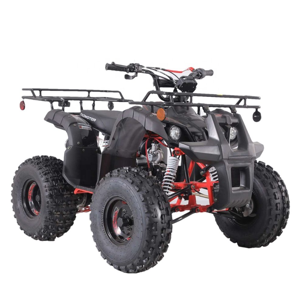 Tao Motor Best Selling 2021 Chinese 110cc ATV Parts Kits 110cc ATV for Sale