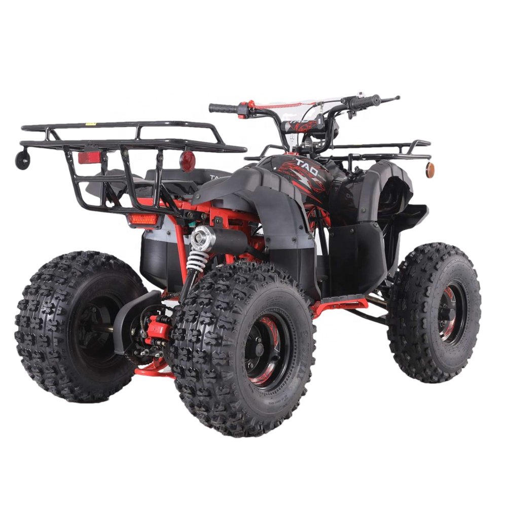 Tao Motor Best Selling 2021 Chinese 110cc ATV Parts Kits 110cc ATV for Sale