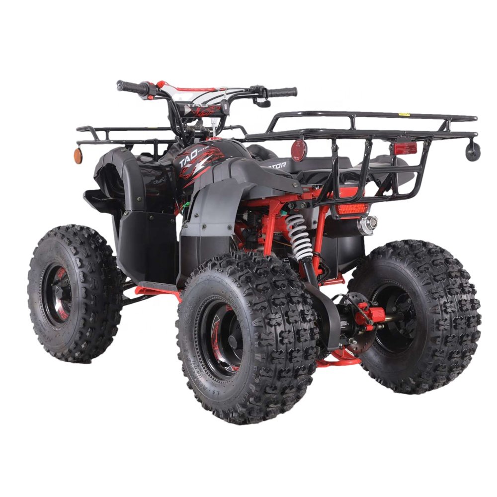 Tao Motor Best Selling 2021 Chinese 110cc ATV Parts Kits 110cc ATV for Sale