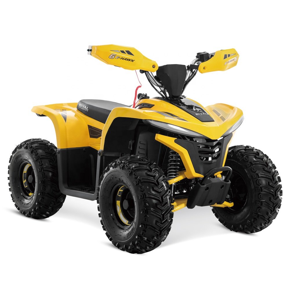 Tao Motor 2023 Latest Design Adult and Teenage ATV Electric ATV 4x4