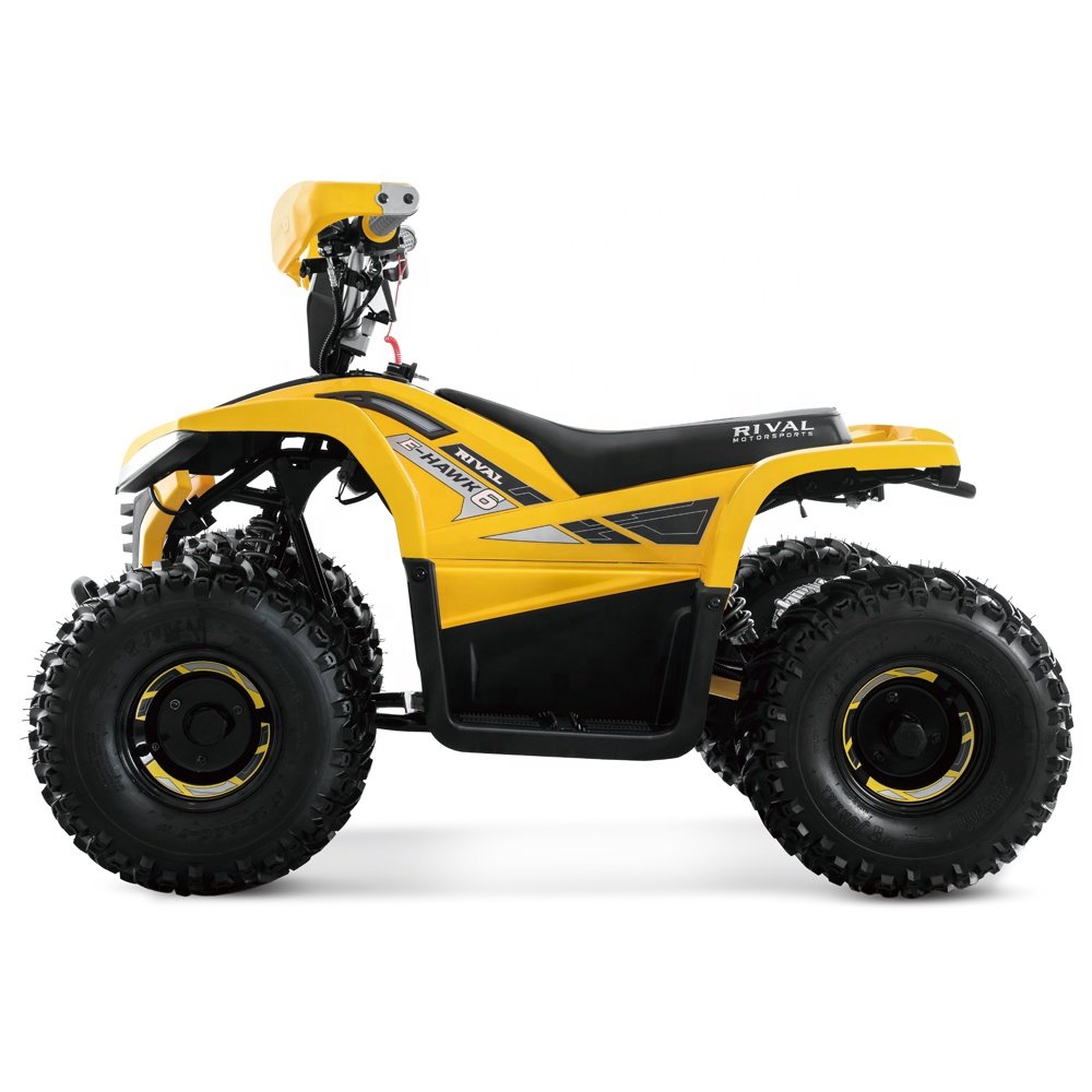 Tao Motor 2023 Latest Design Adult and Teenage ATV Electric ATV 4x4