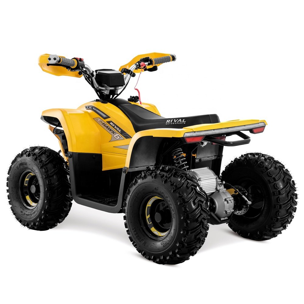 Tao Motor 2023 Latest Design Adult and Teenage ATV Electric ATV 4x4