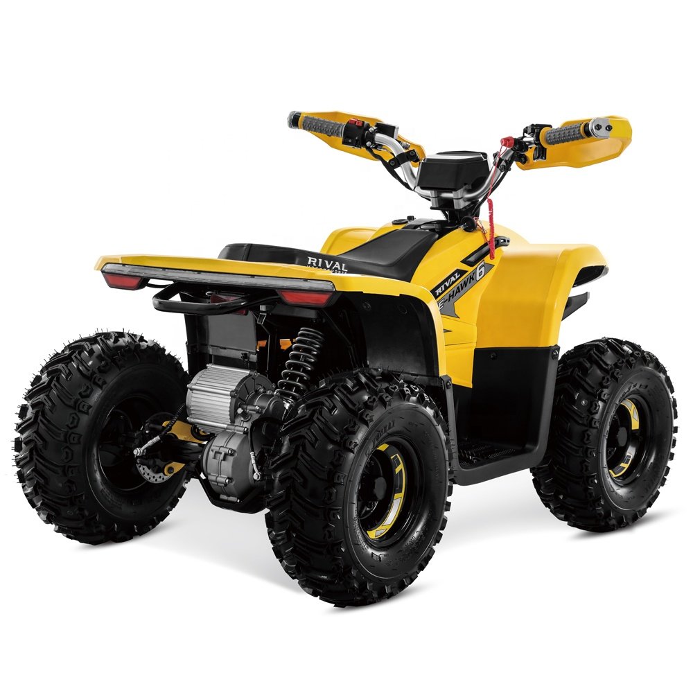 Tao Motor 2023 Latest Design Adult and Teenage ATV Electric ATV 4x4