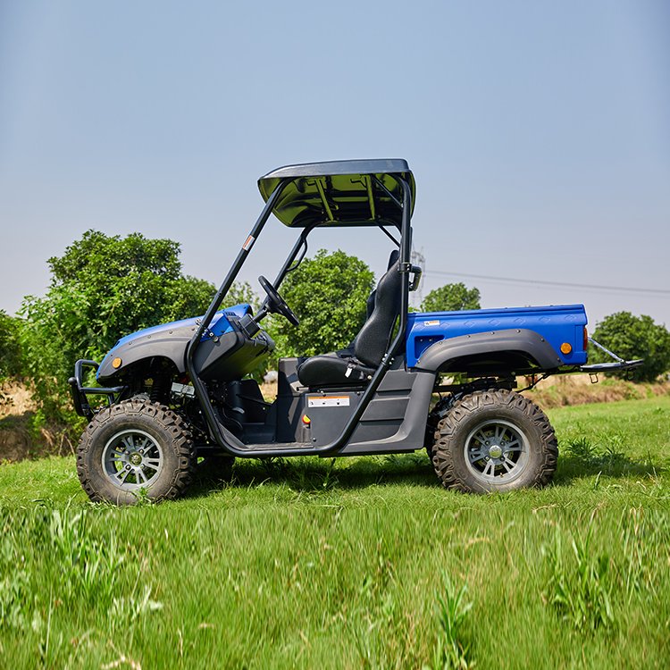 Made In China Electric 4x4 Off Road Utv 5kw=7.5kw Electric Utv Adult 4x4 For Leisure And Entertainment