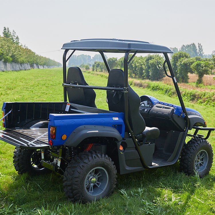 Made In China Electric 4x4 Off Road Utv 5kw=7.5kw Electric Utv Adult 4x4 For Leisure And Entertainment