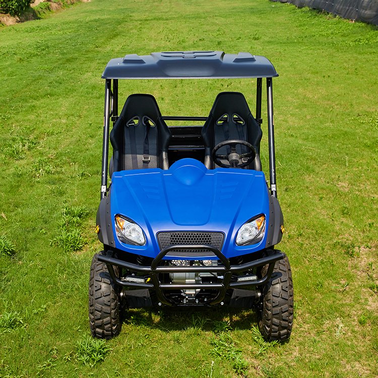 Made In China Electric 4x4 Off Road Utv 5kw=7.5kw Electric Utv Adult 4x4 For Leisure And Entertainment