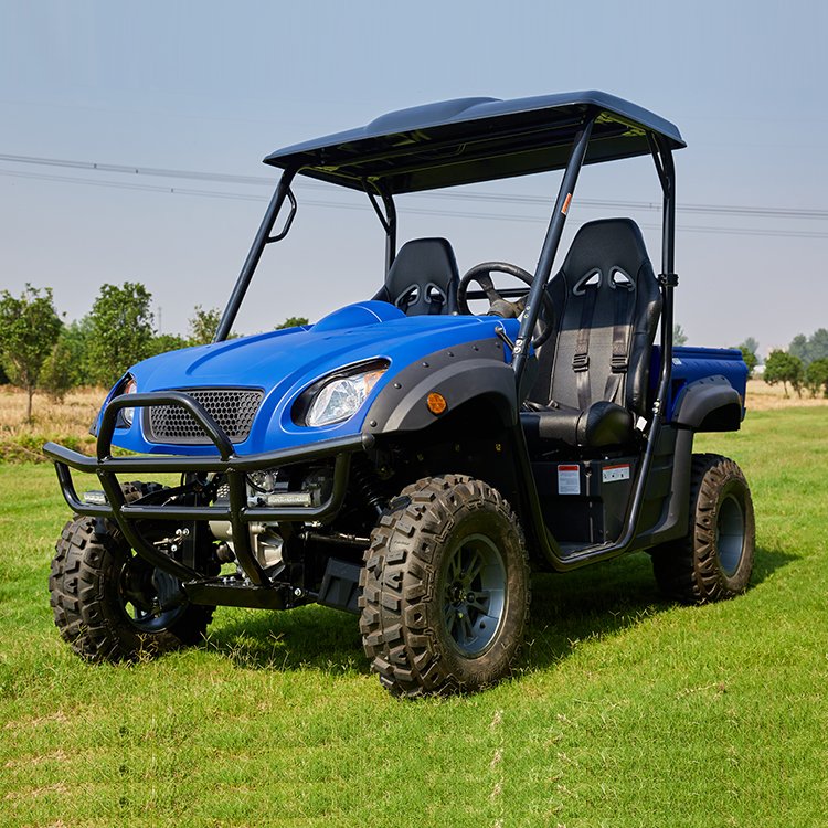 Made In China Electric 4x4 Off Road Utv 5kw=7.5kw Electric Utv Adult 4x4 For Leisure And Entertainment