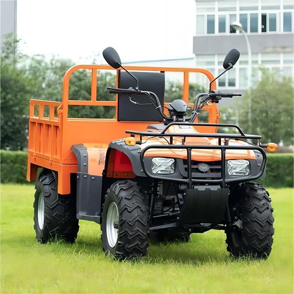 Best Price High Performance 250cc 2x4 ATV Electric Four-Wheel Off-Road Motorcycle for Farm Forest Pasture 72v Voltage