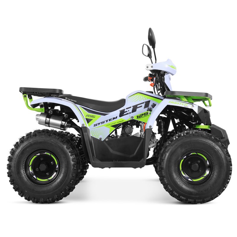 Tao Motor 2024 New EFI Electronic Fuel Injection Cheap Chinese Automatic with Reverse Chain Drive Farm ATV 125cc ATV