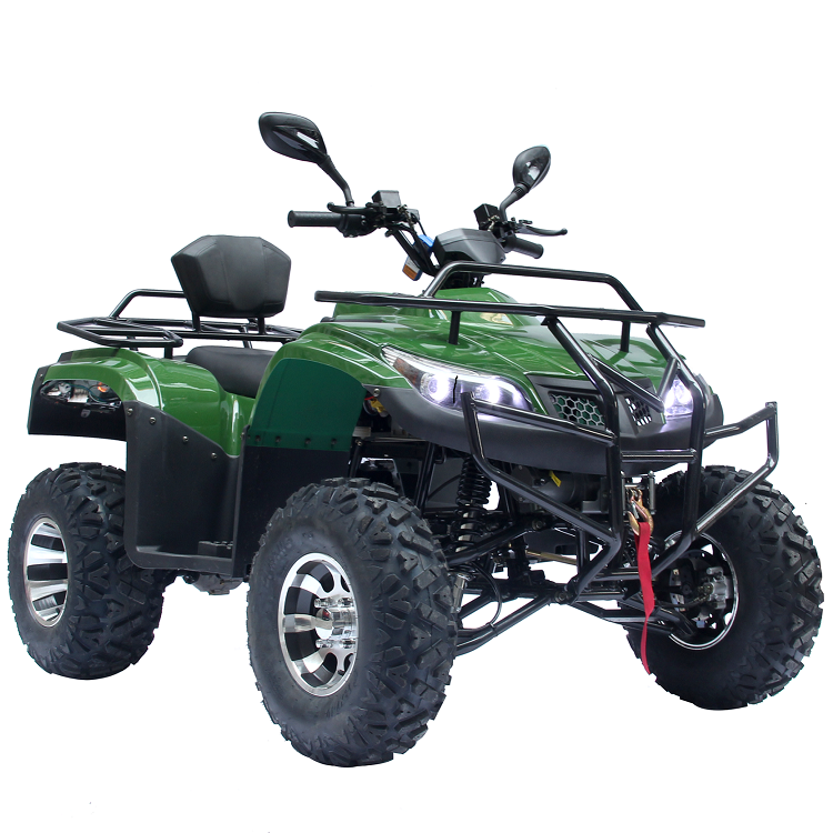 Electric ATV UTV Utility Motorcycles Other motorcycle