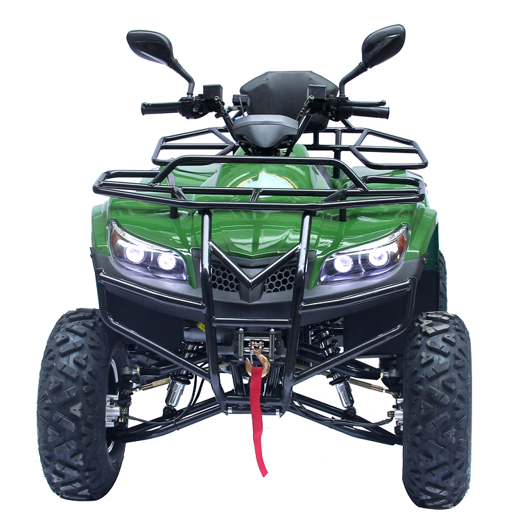 Electric ATV UTV Utility Motorcycles Other motorcycle