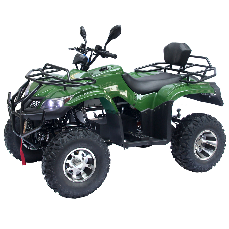Electric ATV UTV Utility Motorcycles Other motorcycle