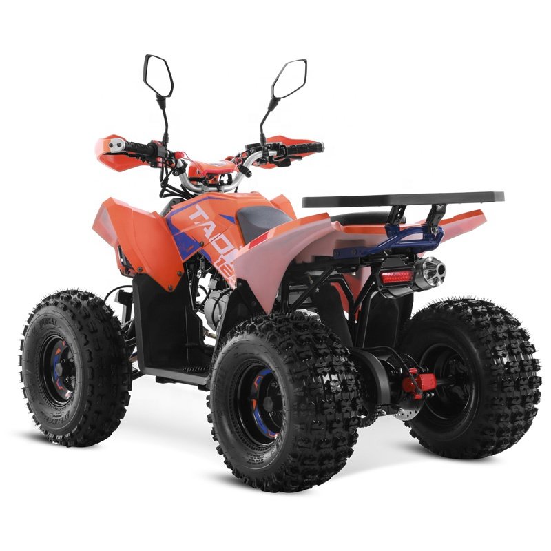 Tao Motor 2024 New atv/utv parts Sport 110cc 125cc ATV 125