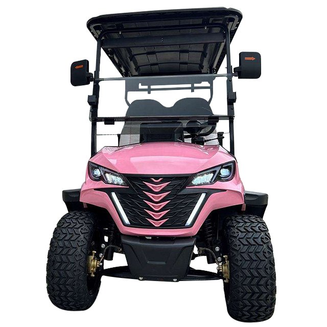 Legal on Road High Quality Sightseeing Car 2024 New 72v Luxury Golf Cart Street Electric Custom Made 220V Ice Cream Cart 3 - 4