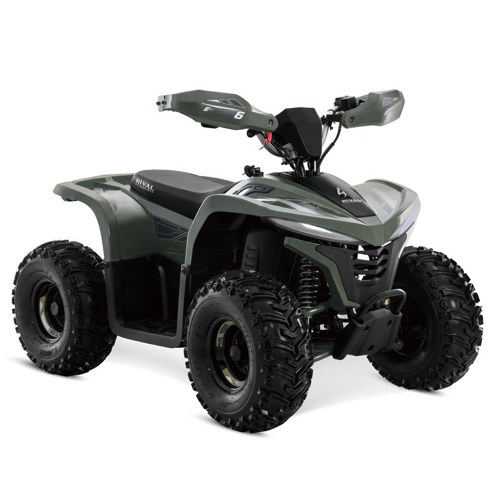 Tao Motor 2023 Latest Design Adult and Teenage ATV Electric ATV 4x4