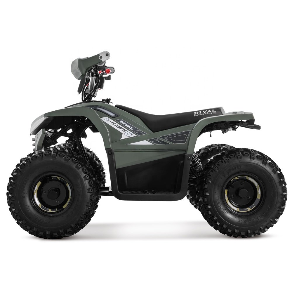 Tao Motor 2023 Latest Design Adult and Teenage ATV Electric ATV 4x4