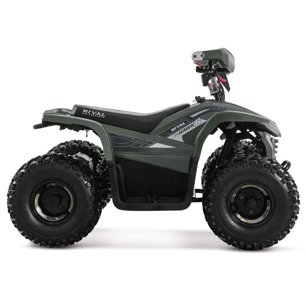 Tao Motor 2023 Latest Design Adult and Teenage ATV Electric ATV 4x4