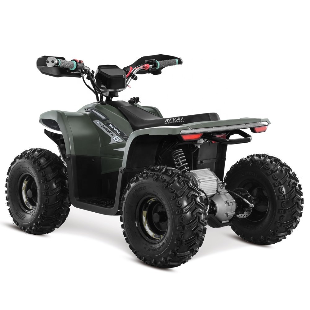 Tao Motor 2023 Latest Design Adult and Teenage ATV Electric ATV 4x4
