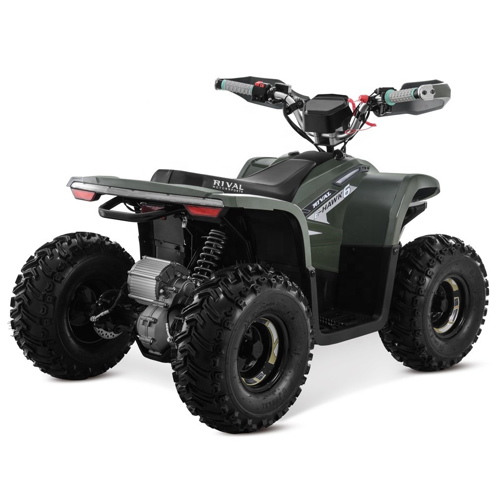 Tao Motor 2023 Latest Design Adult and Teenage ATV Electric ATV 4x4