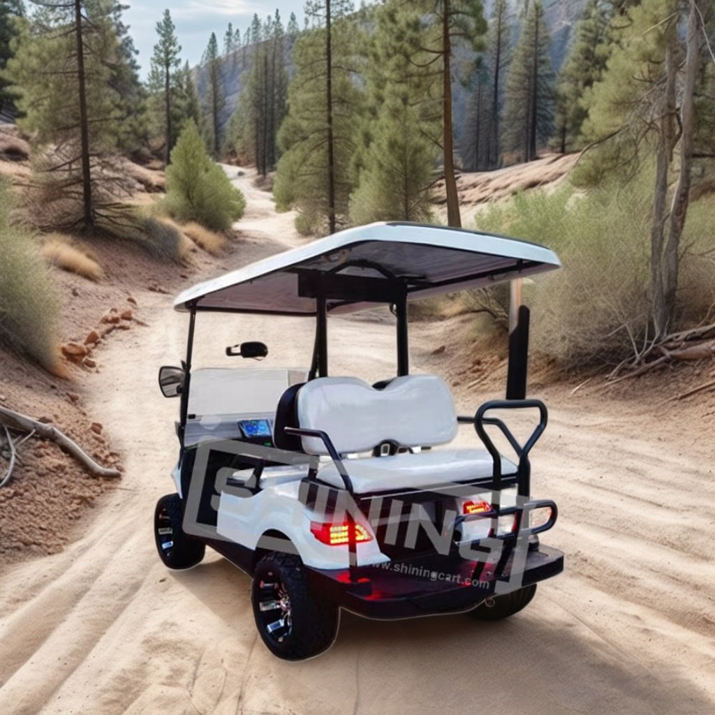 Shining Brand chinese atv gasoline engine golf cart 12 inch rim lifted golf cart