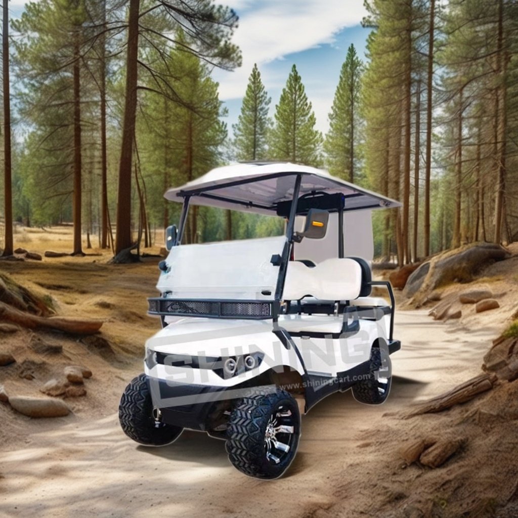 Shining Brand chinese atv gasoline engine golf cart 12 inch rim lifted golf cart