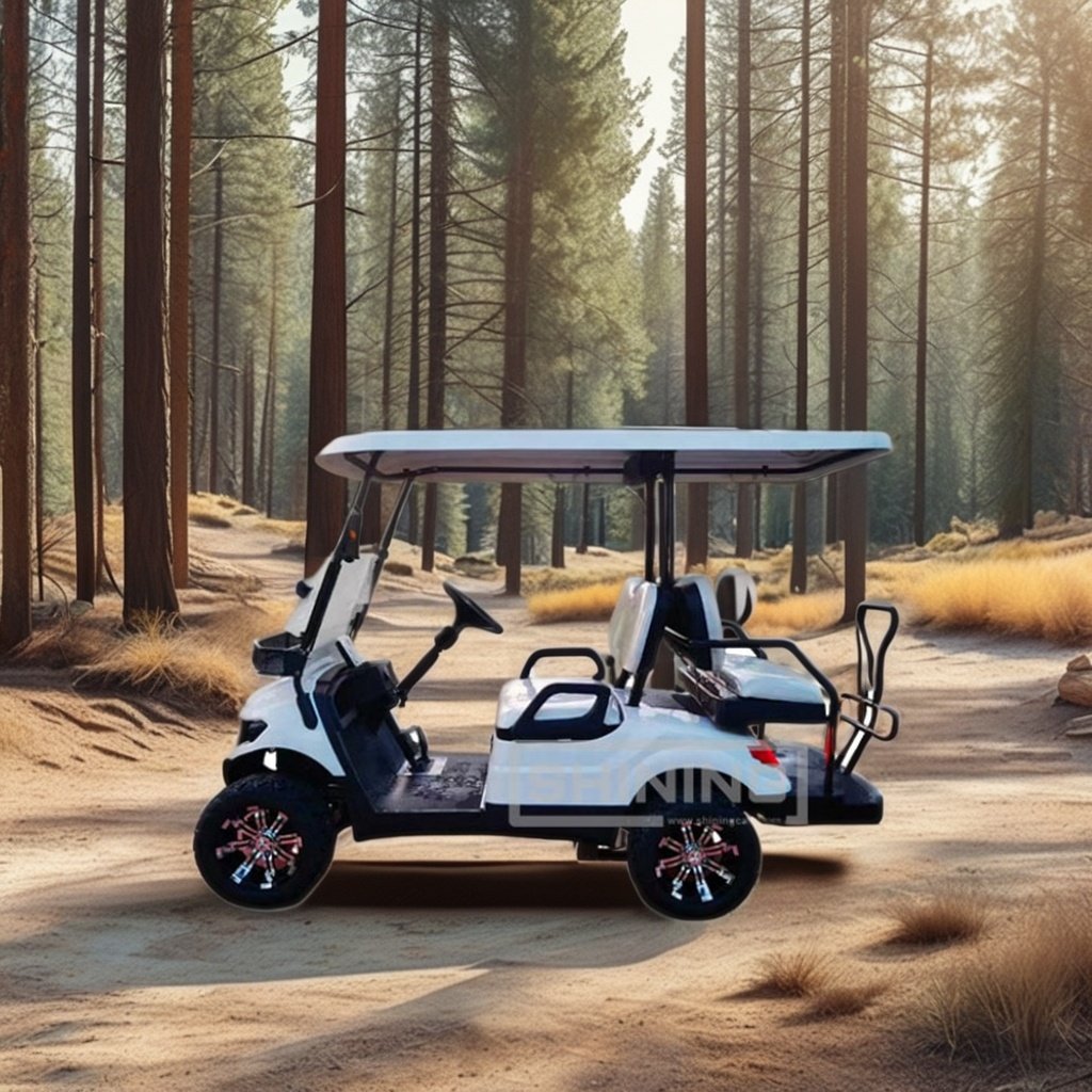 Shining Brand chinese atv gasoline engine golf cart 12 inch rim lifted golf cart