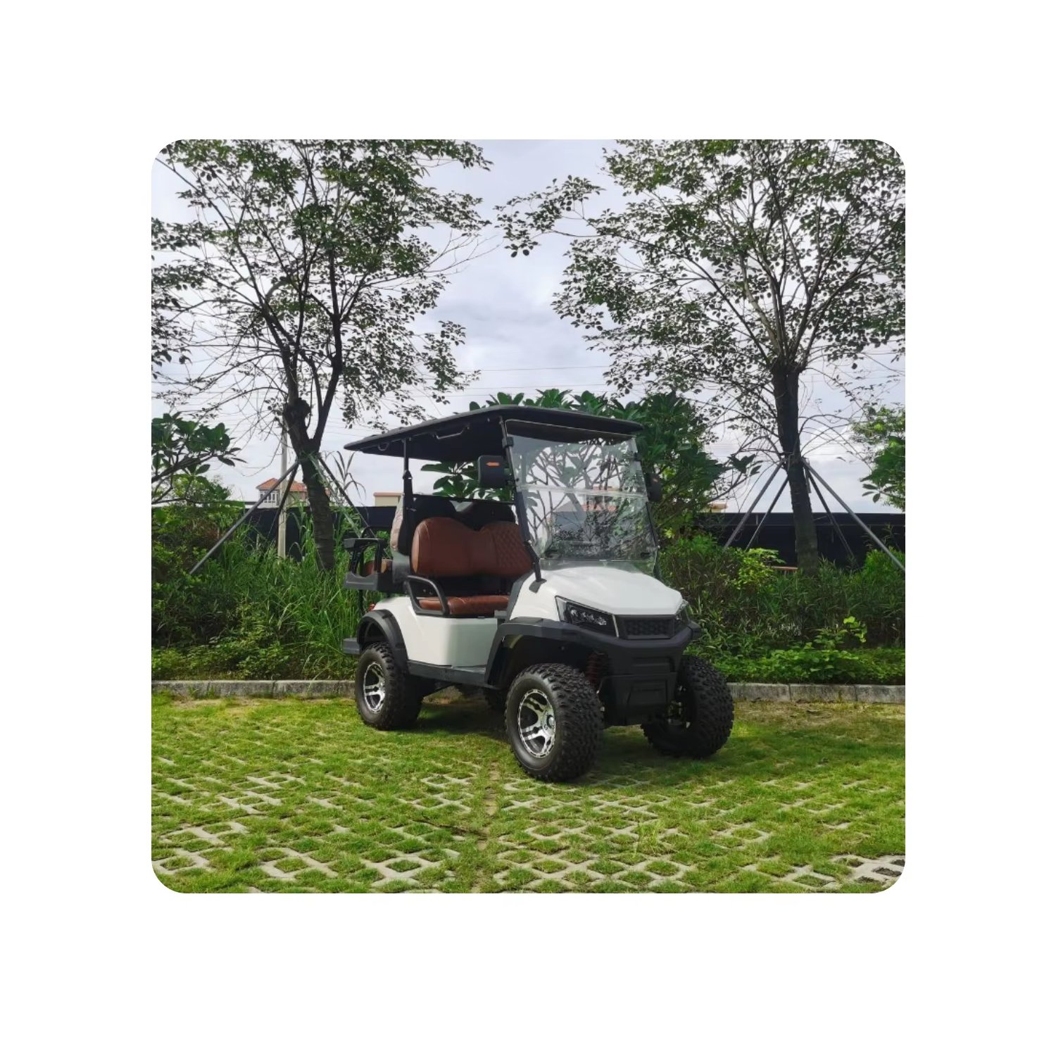 Premium Electric Golf Carts Comfortable Golf Car Original Design