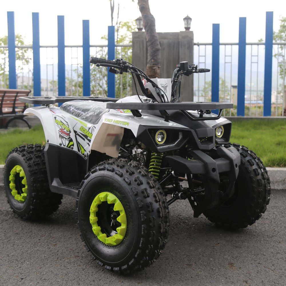 Tao Motor Farm ATV 125 Hunter 125cc ATV 125cc