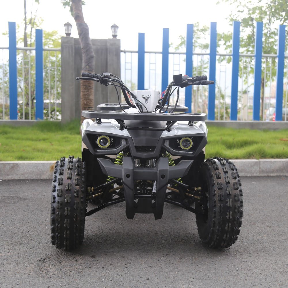 Tao Motor Farm ATV 125 Hunter 125cc ATV 125cc
