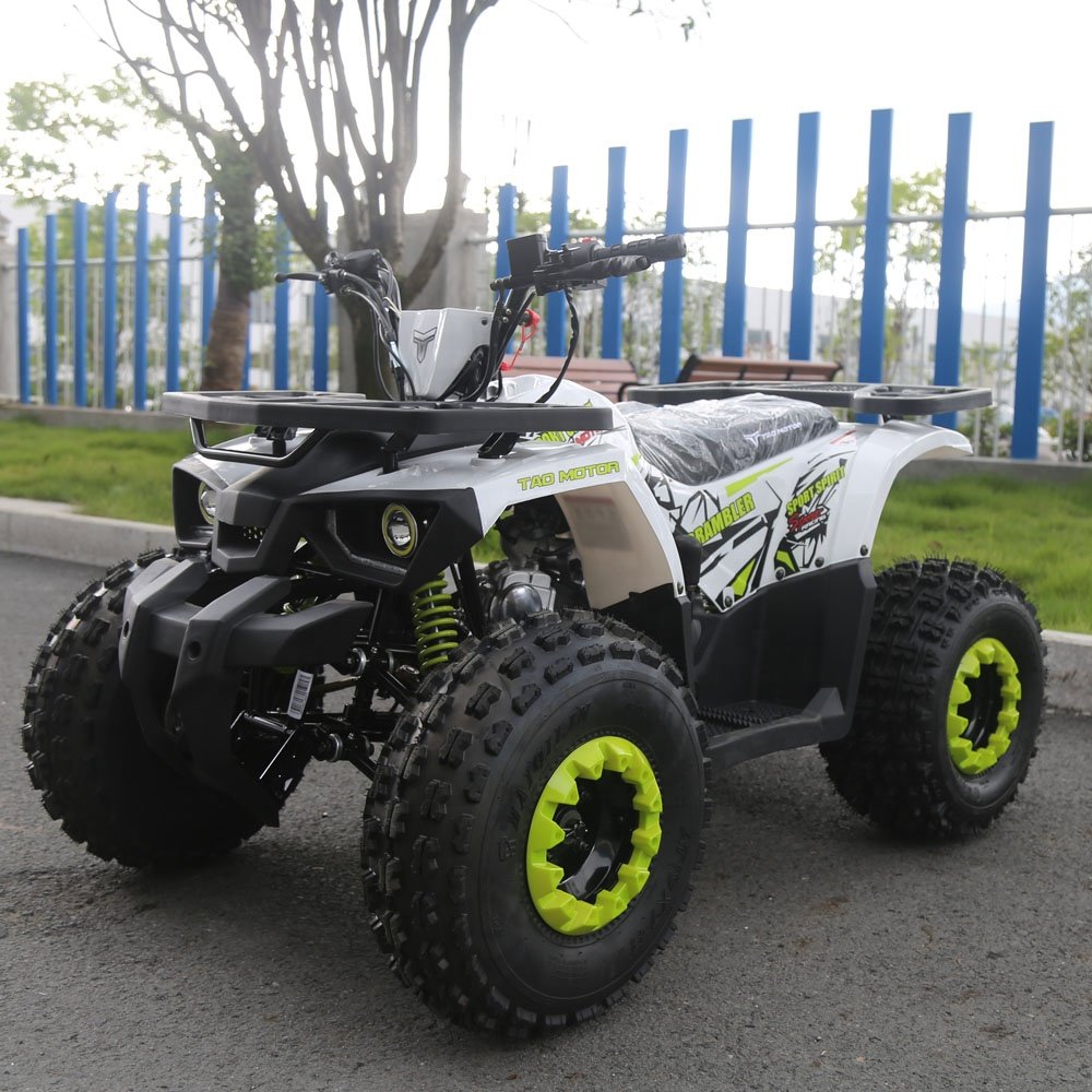 Tao Motor Farm ATV 125 Hunter 125cc ATV 125cc