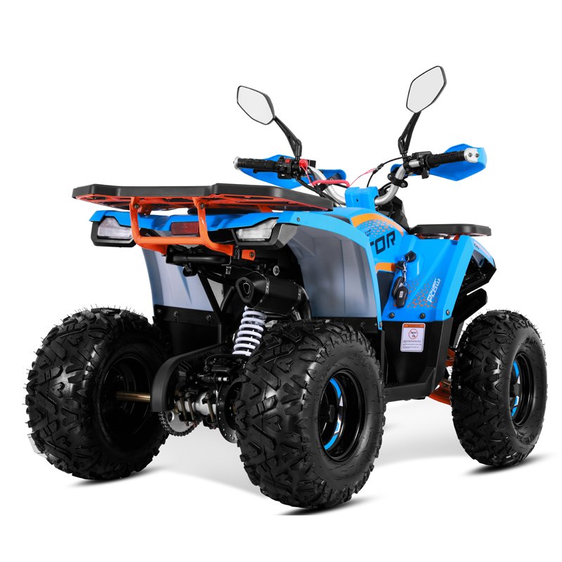 Tao Motor2025 New Automatic Quad Bike Cuatrimoto with Reverse Chain Drive 125cc ATV with EPA CE